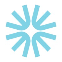 Wisnio logo - Similar company to Connecsi