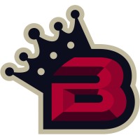 Baseball Beyond Borders logo - Similar company to Antonelli Baseball