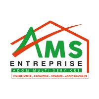 AMS ENTREPRISE logo - Similar company to Nerdtic