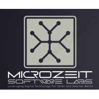 Microzeit Software Labs logo - Similar company to Dezimal Labs