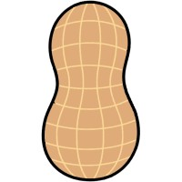 Digital Peanut logo - Similar company to Dashing Duck Marketing