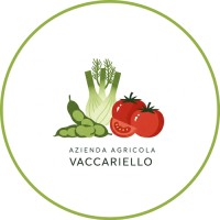 Azienda Agricola Vaccariello logo - Similar company to Fraternità Cristiana Opera Padre Marella