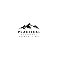 Practical Economic Consulting logo - Similar company to Litigation Analytics Institute