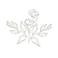 Wildflower Weddings & Events LLC logo - Similar company to Wildflower Events + Design