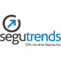 Segutrends logo - Similar company to Catalyst Group