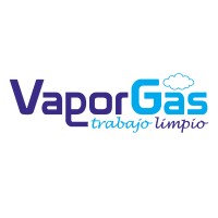 Vaporgas logo - Similar company to Tekams