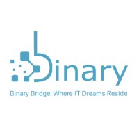 Binary Bridge IT Solutions logo - Similar company to Digicrafter