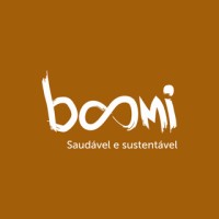 Boomi logo - Similar company to N/Care Solutions