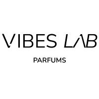 VIBES LAB logo - Similar company to Chanintr