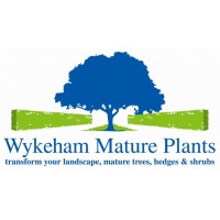 Wykeham Mature Plants logo - Similar company to Sas Land Services Ltd