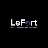 LEFORT, empowering businesses for global dominance. logo - Similar company to The Techy Accountant