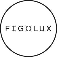 Figolux logo - Similar company to Gmd Print & Install