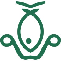 Flying Fish eFoils logo - Similar company to Startup Studio Nescio