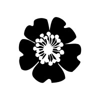 W.B. LANDSCAPES LLC
