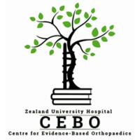 CEBO - Centre for Evidence-Based Orthopaedics logo - Similar company to Emerge Copenhagen