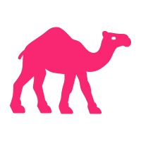 CamelCase Technologies logo - Similar company to Coldigify.Ma