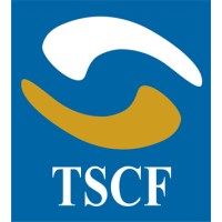 The Social Capital Foundation logo - Similar company to L8