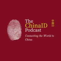 The ChinaID Podcast | 中国ID播客 logo - Similar company to Eurydice Global