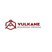 Vulkane Seguridad y Servicios logo - Similar company to Segurikar | Juntos Vamos Por Más.