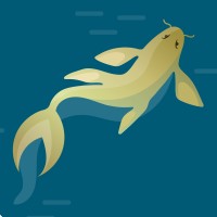 Gold Koi Coin