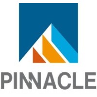 PinnacleWay Biz Solutions logo - Similar company to Pinnacle.Biz