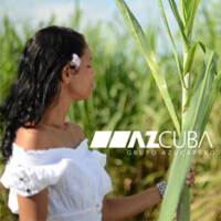 Grupo Azucarero AZCUBA logo - Similar company to Mak Infra Developers Pvt Ltd