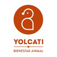 Yolcati · Bienestar animal logo - Similar company to Awec (Animal Welfare Education Centre)