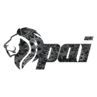 PARAGON INDUSTRIES logo - Similar company to Leaf Spring (Landhi Engineering Works)