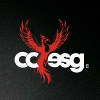 CCESG - Comité Compétitions ESG logo - Similar company to Aebcc