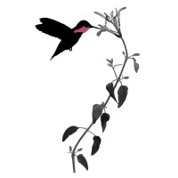 Wilder Landscapes logo - Similar company to Wheat Design Group- Landscape Architects