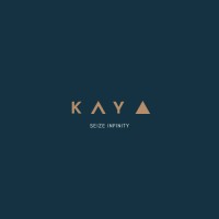 KAYA | seizeinfinity.id logo - Similar company to Streamwise Digital Network