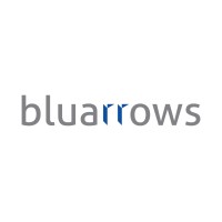 bluarrows logo - Similar company to Vsys Av
