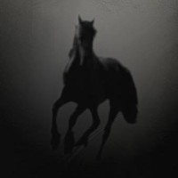 Dark Horse Media, Llc