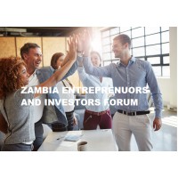 ZAMBIA ENTREPRENEURS AND INVESTORS NETWORK logo - Similar company to Voltex Visualization