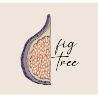 figtree logo - Similar company to Figtree