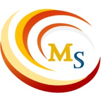 Master Solutions logo - Similar company to Master Solutions