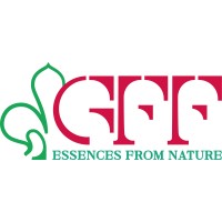 GFF s.r.l. logo - Similar company to Ctq Spa