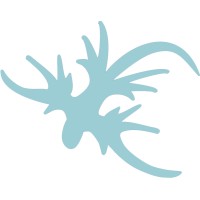 Glaucus Games logo - Similar company to Derp Studios Ltd