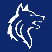 Team Network logo - Similar company to Team Networks