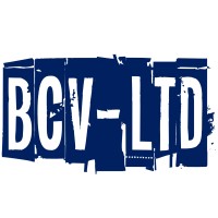 Bay City Ventures Ltd. logo - Similar company to Amg Platform