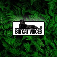 Big Cat Voices logo - Similar company to Bookscouter