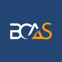 Business Concept Advisory Services logo - Similar company to E2Js