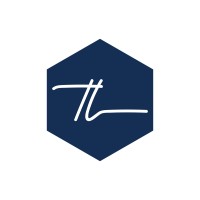 SERVICII TRANSLITERA logo - Similar company to Frigg-Technology Ltd
