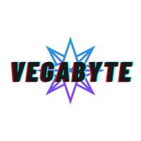 Vegabyte logo - Similar company to Technostream Llc