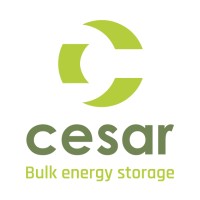 CESAR energy storage logo - Similar company to Borg Energy Storage