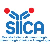 SIICA logo - Similar company to Yefis