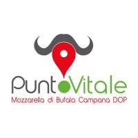 PUNTO VITALE S.R.L. logo - Similar company to Eza Di Ferrero
