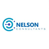 Nelson Consultants logo - Similar company to Roots Systems