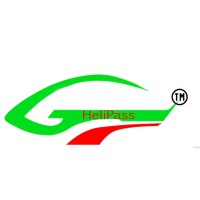 HELIPASS logo - Similar company to Helipass The Helicopter And Air Mobility