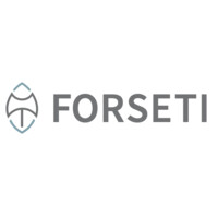 Forseti logo - Similar company to Forseti